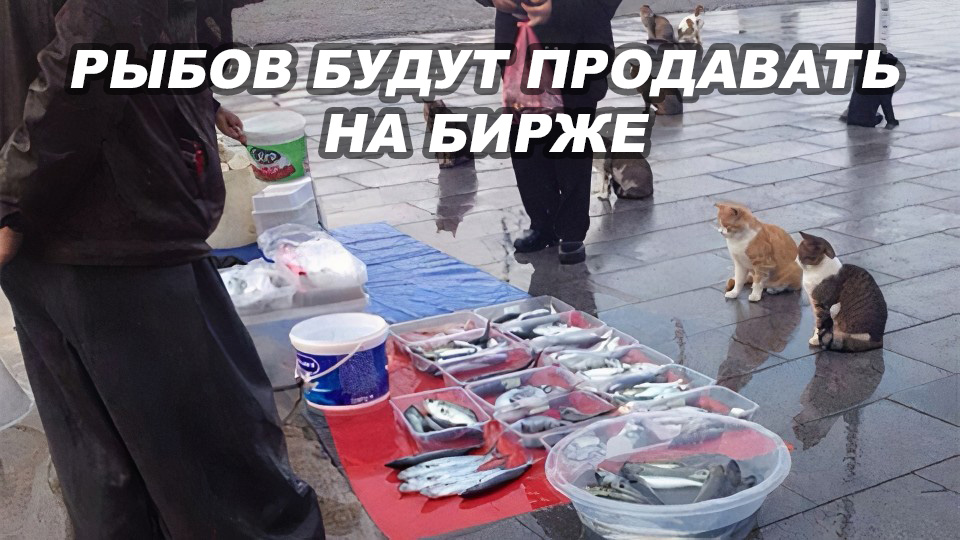 рыбу будут продавать на бирже